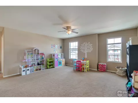 6256 Walnut Grove St, Frederick, CO 80516 photo 18