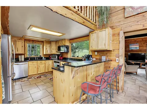 347 S Pine Dr, Bailey, CO 80421 photo 25