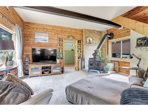 347 S Pine Dr, Bailey, CO 80421 photo 18