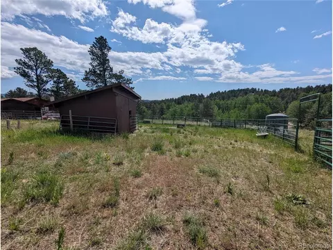 347 S Pine Dr, Bailey, CO 80421 photo 50