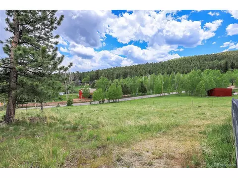 347 S Pine Dr, Bailey, CO 80421 photo 4