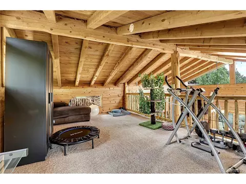 347 S Pine Dr, Bailey, CO 80421 photo 30
