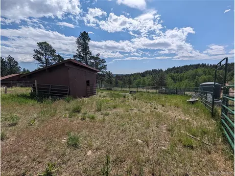 347 S Pine Dr, Bailey, CO 80421 photo 13