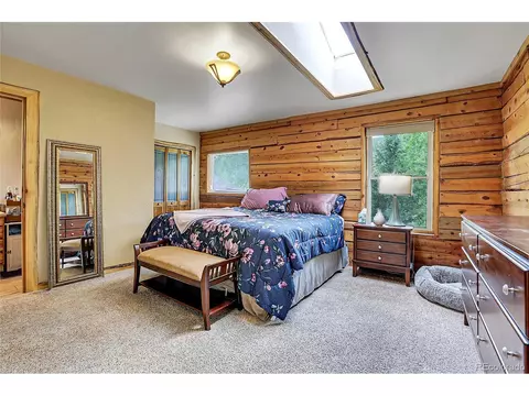 347 S Pine Dr, Bailey, CO 80421 photo 34