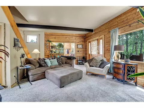 347 S Pine Dr, Bailey, CO 80421 photo 19