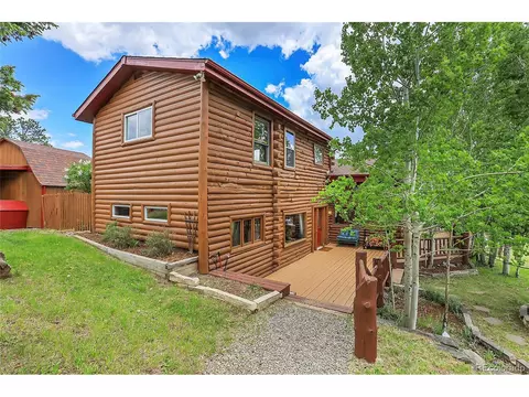 347 S Pine Dr, Bailey, CO 80421 photo 11