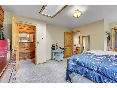 347 S Pine Dr, Bailey, CO 80421 photo 35