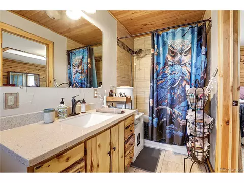 347 S Pine Dr, Bailey, CO 80421 photo 36