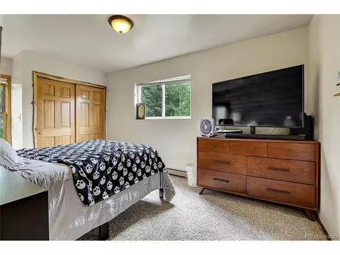 347 S Pine Dr, Bailey, CO 80421 photo 37