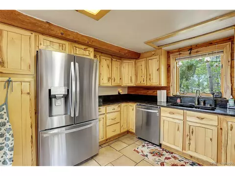 347 S Pine Dr, Bailey, CO 80421 photo 23