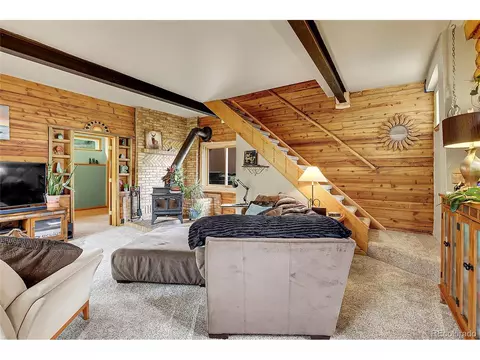 347 S Pine Dr, Bailey, CO 80421 photo 21