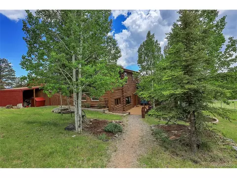 347 S Pine Dr, Bailey, CO 80421 photo 9