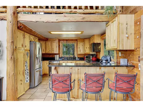 347 S Pine Dr, Bailey, CO 80421 photo 26