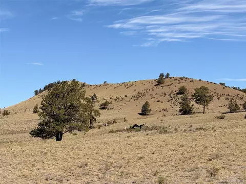 Hardwood Loop, Hartsel, CO 80449 photo 29