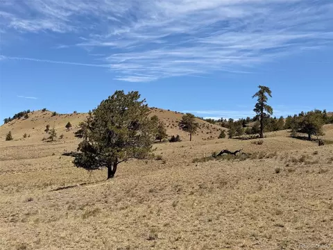 Hardwood Loop, Hartsel, CO 80449 photo 38