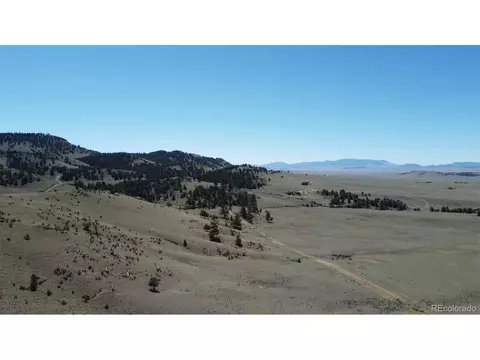 Hardwood Loop, Hartsel, CO 80449 photo 17