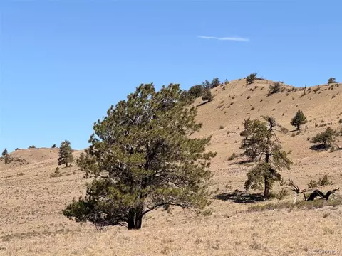 Hardwood Loop, Hartsel, CO 80449 photo 7