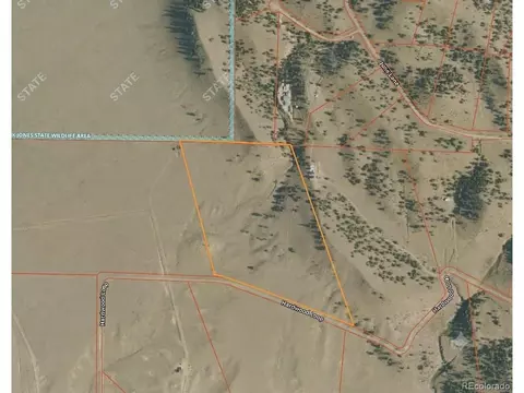 Hardwood Loop, Hartsel, CO 80449 photo 3
