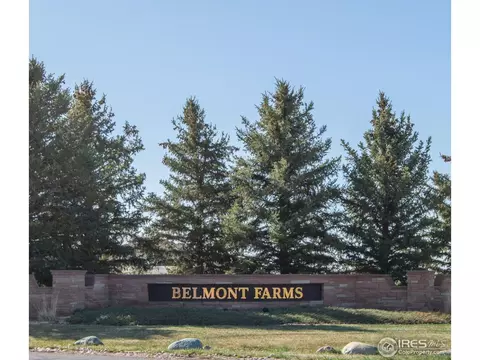 39604 Hilltop Cir, Severance, CO 80610 photo 13