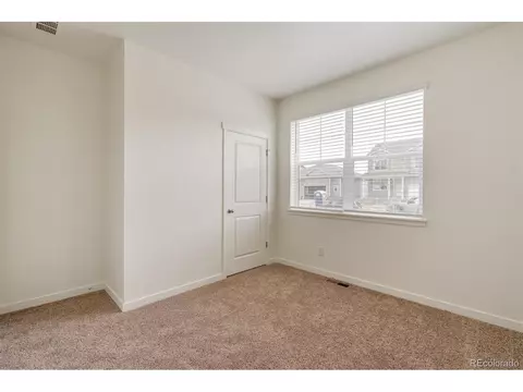 1902 Thundercloud Dr, Windsor, CO 80550 photo 21