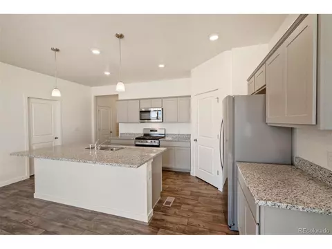 1902 Thundercloud Dr, Windsor, CO 80550 photo 5