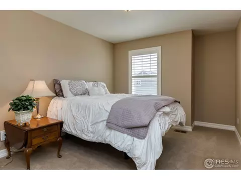2565 E 141st Pl, Thornton, CO 80602 photo 25