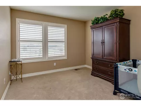 2565 E 141st Pl, Thornton, CO 80602 photo 27