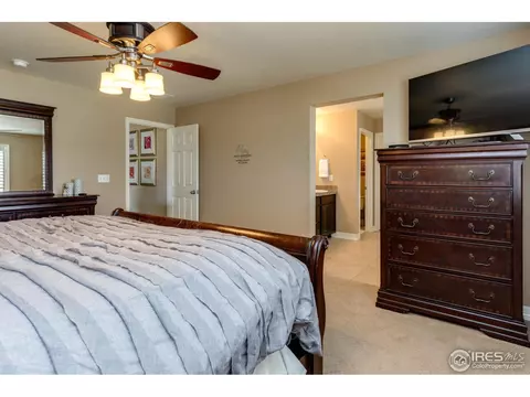 2565 E 141st Pl, Thornton, CO 80602 photo 21
