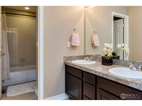 2565 E 141st Pl, Thornton, CO 80602 photo 22