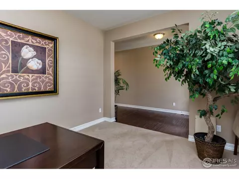 2565 E 141st Pl, Thornton, CO 80602 photo 6