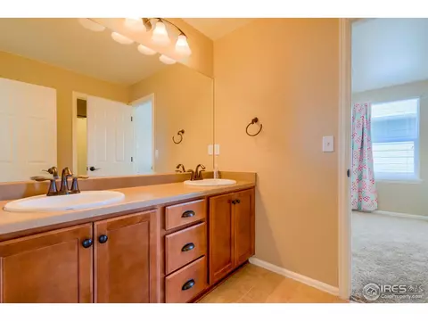 5701 Foxfire St, Timnath, CO 80547 photo 28