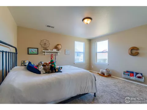 5701 Foxfire St, Timnath, CO 80547 photo 31
