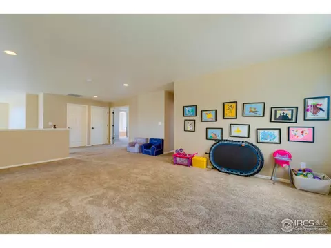 5701 Foxfire St, Timnath, CO 80547 photo 23