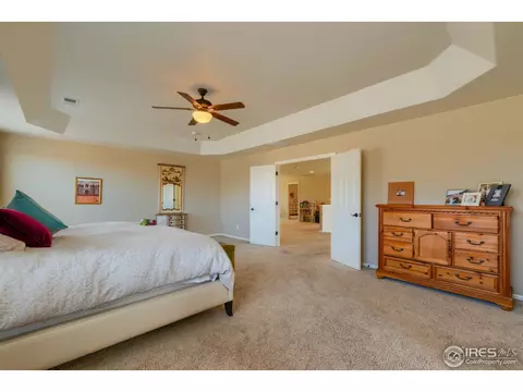 5701 Foxfire St, Timnath, CO 80547 photo 18