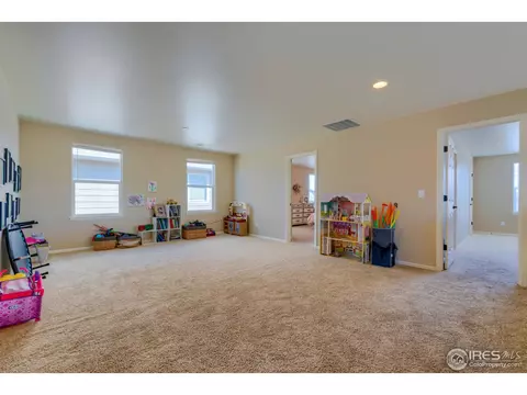 5701 Foxfire St, Timnath, CO 80547 photo 25