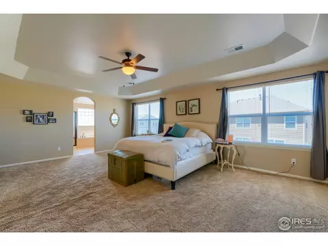 5701 Foxfire St, Timnath, CO 80547 photo 19