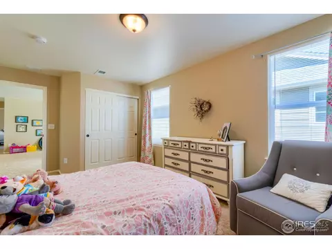 5701 Foxfire St, Timnath, CO 80547 photo 27