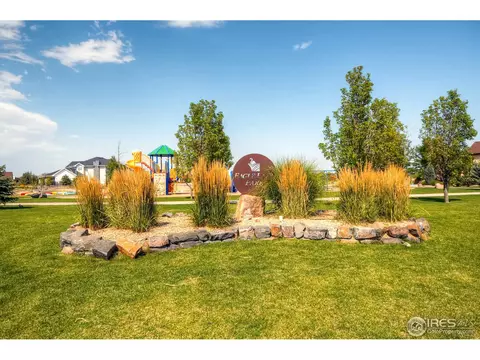 1981 Barbados Ct, Windsor, CO 80550 photo 37
