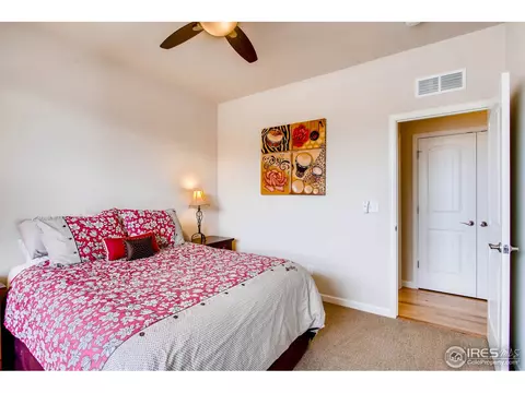 1981 Barbados Ct, Windsor, CO 80550 photo 22
