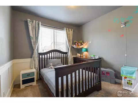 1991 Cayman Dr, Windsor, CO 80550 photo 27