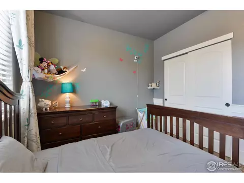 1991 Cayman Dr, Windsor, CO 80550 photo 29