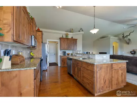 1991 Cayman Dr, Windsor, CO 80550 photo 10