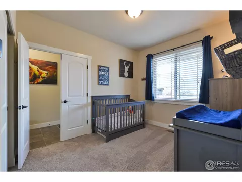 1991 Cayman Dr, Windsor, CO 80550 photo 24