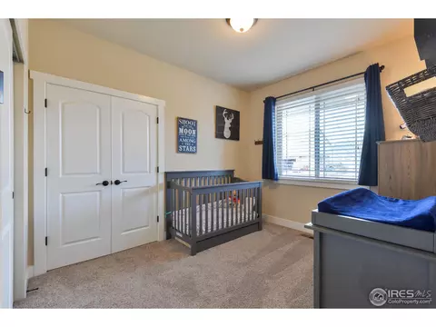 1991 Cayman Dr, Windsor, CO 80550 photo 25