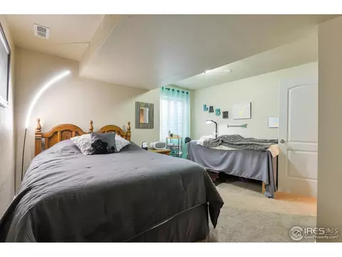 1991 Cayman Dr, Windsor, CO 80550 photo 32