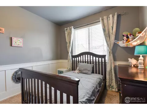 1991 Cayman Dr, Windsor, CO 80550 photo 28