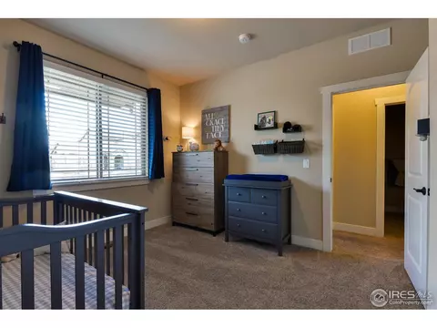 1991 Cayman Dr, Windsor, CO 80550 photo 26