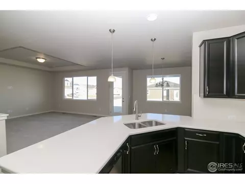 113 Bluebell Ct, Wiggins, CO 80654 photo 6