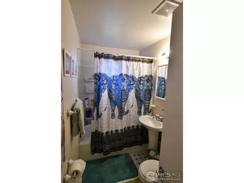3135 Euclid Ave, Boulder, CO 80303 photo 6