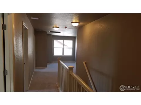 2280 Stonefish Dr, Windsor, CO 80550 photo 11